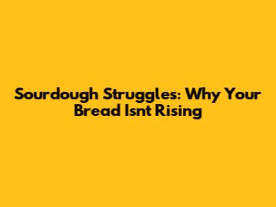 Sourdough Struggles: Why Your Bread Isn't Rising