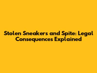 Stolen Sneakers and Spite: Legal Consequences Explained