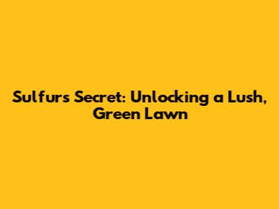 Sulfur's Secret: Unlocking a Lush, Green Lawn