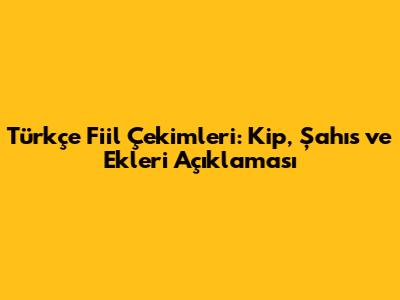 Türkçe Fiil Çekimleri: Kip, Şahıs ve Ekleri Açıklaması