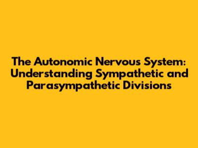 The Autonomic Nervous System: Understanding Sympathetic and Parasympathetic Divisions