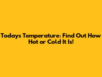Today's Temperature: Find Out How Hot or Cold It Is!