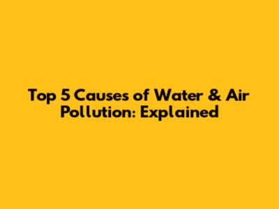 Top 5 Causes of Water & Air Pollution: Explained