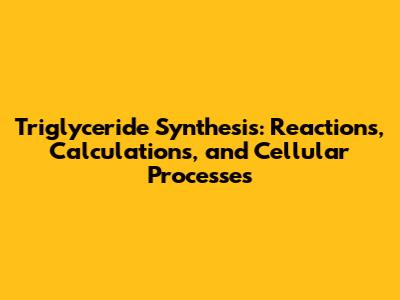 Triglyceride Synthesis: Reactions, Calculations, and Cellular Processes