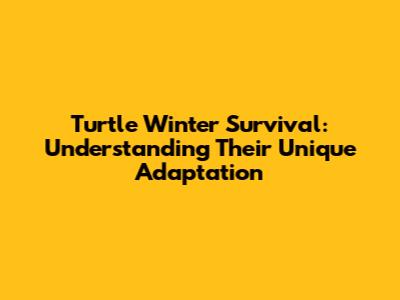 Turtle Winter Survival: Understanding Their Unique Adaptation