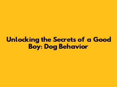 Unlocking the Secrets of a Good Boy: Dog Behavior