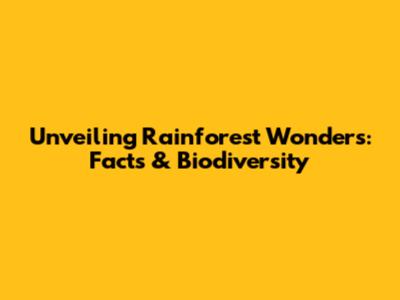 Unveiling Rainforest Wonders: Facts & Biodiversity