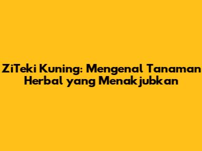 ZiTeki Kuning: Mengenal Tanaman Herbal yang Menakjubkan