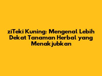 ziTeki Kuning: Mengenal Lebih Dekat Tanaman Herbal yang Menakjubkan