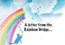 A LETTER FROM RAINBOW BRIDGE